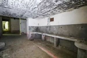 Ligne Maginot - FORT DE BOIS D'OYE - (Position d'artillerie préparée) - 