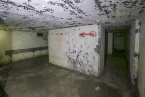 Ligne Maginot - FORT DE BOIS D'OYE - (Position d'artillerie préparée) - 