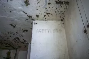 Ligne Maginot - FORT DE BOIS D'OYE - (Position d'artillerie préparée) - 
