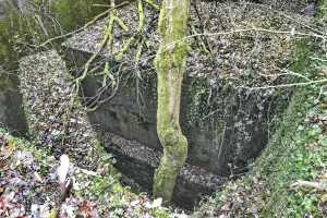 Ligne Maginot - FORT DE ROPPE - (Position d'artillerie préparée) - Vue du dessus du nouveau coffre