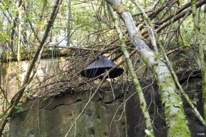Ligne Maginot - FORT DE ROPPE - (Position d'artillerie préparée) - 