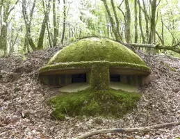 Ligne Maginot - FORT DE ROPPE NORD - (Blockhaus pour arme infanterie) - 