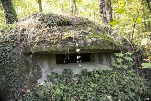 Ligne Maginot - FORT DE ROPPE SUD-EST 1 - (Blockhaus pour arme infanterie) - 