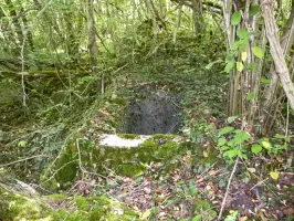 Ligne Maginot - B9-B - FOUGERAIS EST - (Blockhaus pour arme infanterie) - L'entrée en puits