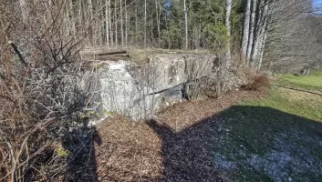 Ligne Maginot - B12 - LES LAILLETS EST - (Blockhaus de type indéterminé) - 