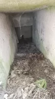 Ligne Maginot - GRILLY (II/9° RAD) - (PC) - L'entrée très étroite du bloc défensif. Partiellement ensevelie.