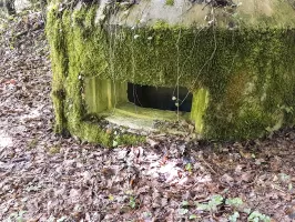Ligne Maginot - F54 - LES TAVERNETTES 2 - HS108 - (Blockhaus pour arme infanterie) - Le créneau
