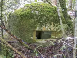 Ligne Maginot - F54BIS - LES TAVERNETTES 3 - HS109 - (Blockhaus pour arme infanterie) - Une des créneaux