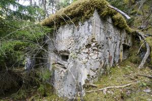 Ligne Maginot - PONT DU THIERET SUD - (Blockhaus pour canon) - 