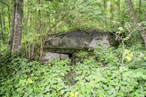 Ligne Maginot - LES GLIERES 1 - (Blockhaus pour arme infanterie) - 