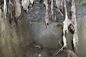 Ligne Maginot - LES TETES 3 - (Abri) - Les ruines de l'abri