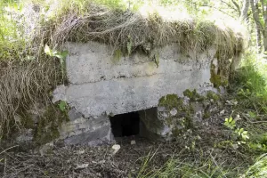 Ligne Maginot - PRE DERRIERE - (Blockhaus pour arme infanterie) - Créneau