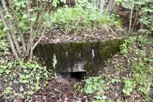 Ligne Maginot - VILLAFLOU - TANIA (P3) - (Blockhaus pour arme infanterie) - 