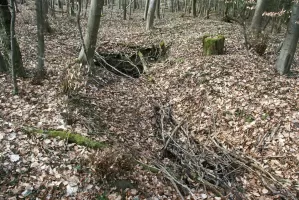 Ligne Maginot - GUNGLINGERBERG 9 - (Abri) - 