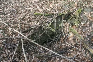 Ligne Maginot - GUNGLINGERBERG 9 - (Abri) - Quelques abris dans le secteur