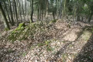 Ligne Maginot - GUNGLINGERBERG 9 - (Abri) - Reste de cagna