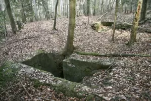 Ligne Maginot - GUNGLINGERBERG 9 - (Abri) - L'abri le mieux conservé
