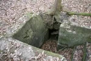 Ligne Maginot - GUNGLINGERBERG 9 - (Abri) - L'abri le mieux conservé
