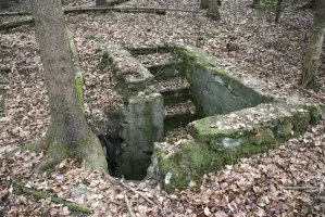 Ligne Maginot - GUNGLINGERBERG 9 - (Abri) - L'abri le mieux conservé