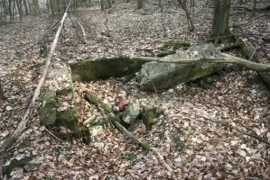 Ligne Maginot - GUNGLINGERBERG 9 - (Abri) - Seconde entrée comblée