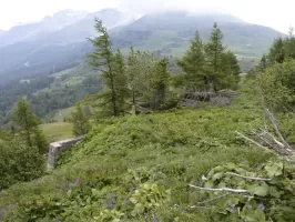 Ligne Maginot - REVETS - (Casernement) - 
