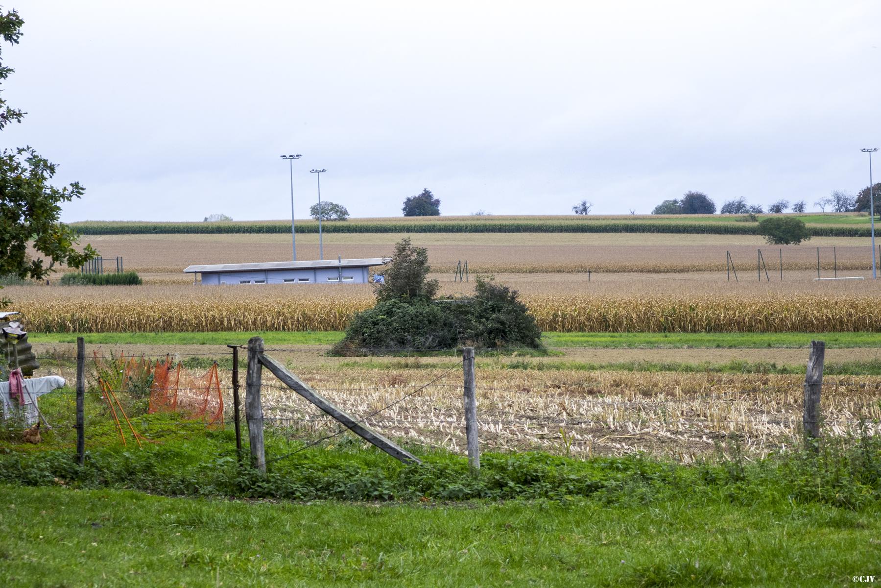 Ligne Maginot - WEINWEG - (Blockhaus de type indéterminé) - 