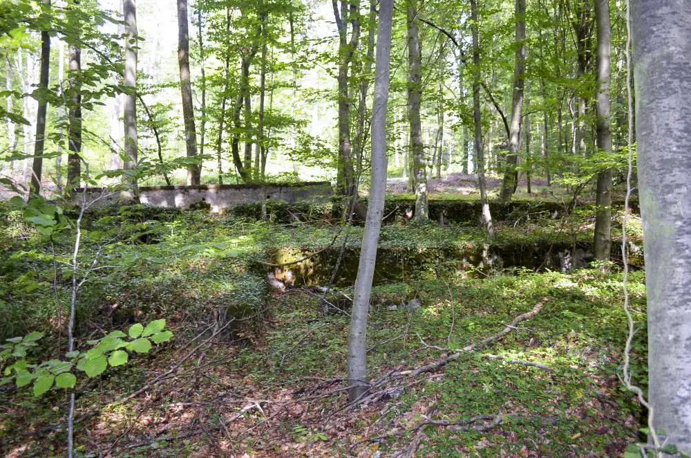 Ligne Maginot - STRENGWALD (BATTERIE DU) - (Position d'artillerie préparée) - Emplacement des baraquements près de l'entrée. Au fond le quai de déchargement