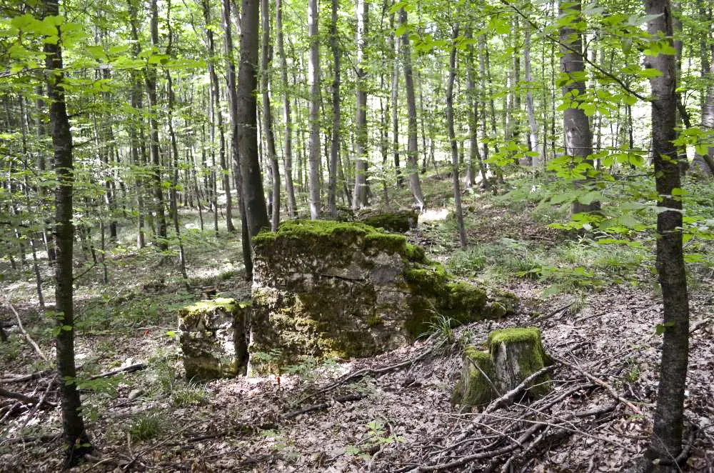 Ligne Maginot - STRENGWALD (BATTERIE DU) - (Position d'artillerie préparée) - Soubassement des baraquements situé à coté de l'abri PC