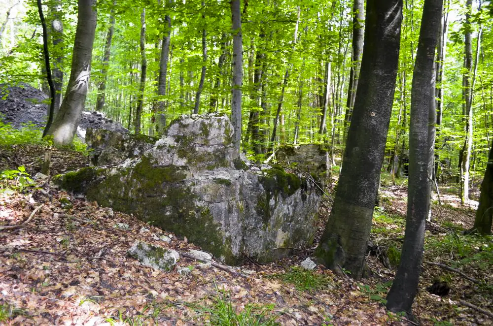 Ligne Maginot - STRENGWALD (BATTERIE DU) - (Position d'artillerie préparée) - Soubassement des baraquements situé à coté de l'abri PC