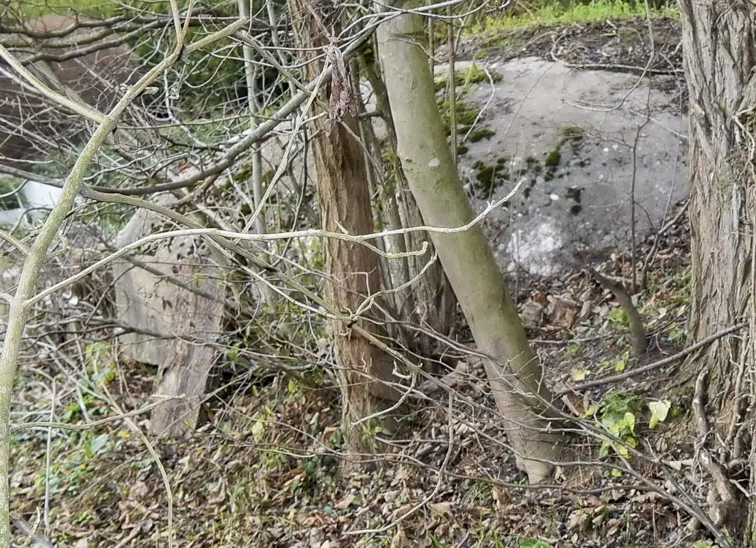 Ligne Maginot - UFFHEIM NORD - (Blockhaus pour canon) - La coupole
