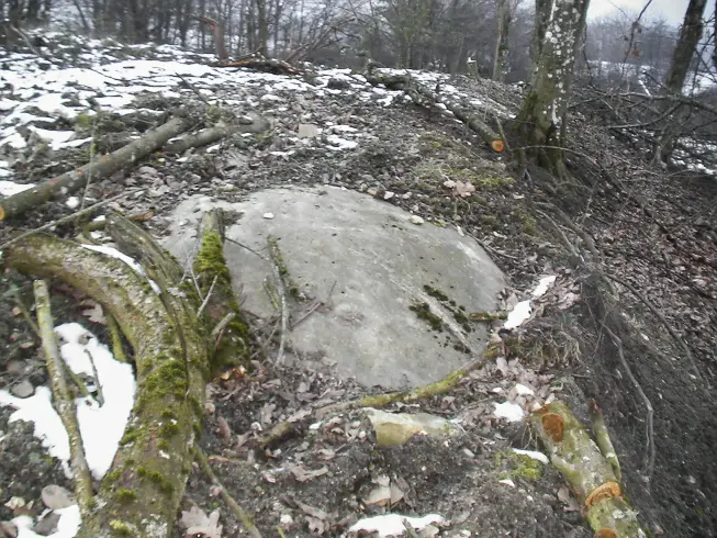 Ligne Maginot - BLOCHMONT SUD - (Blockhaus pour arme infanterie) - Sommet de la coupole
C'est la seule partie visible de la coupole, il est impossible de savoir s'il s'agit d'une coupole pour canon de marine de 47 mm ou pour mitrailleuse. 
Toutefois, dans les textes il est fait mention de 2 coupoles pour mitrailleuse au Blochmont, ce qui semble être le cas puisque 2 coupoles ont été retrouvées à ce jour.