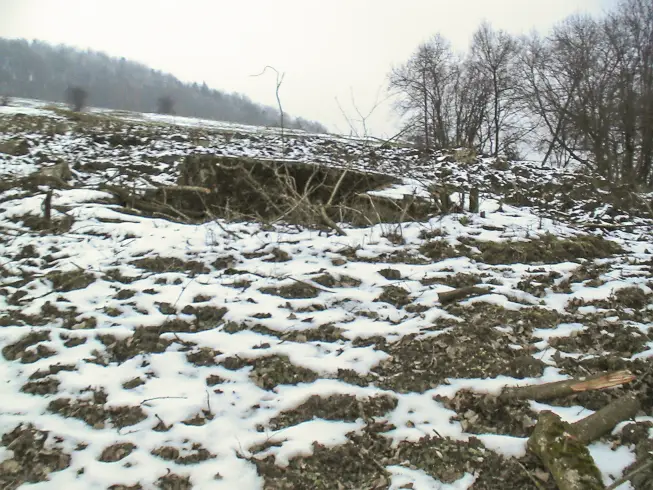 Ligne Maginot - BLOCHMONT SUD - (Blockhaus pour arme infanterie) - Vue sur l'entrée principale vers le Nord-Ouest
Au fond dans la forêt, exactement dans cet alignement sur cette pente boisé qu'on devine se trouve le blockhaus du Blochmont