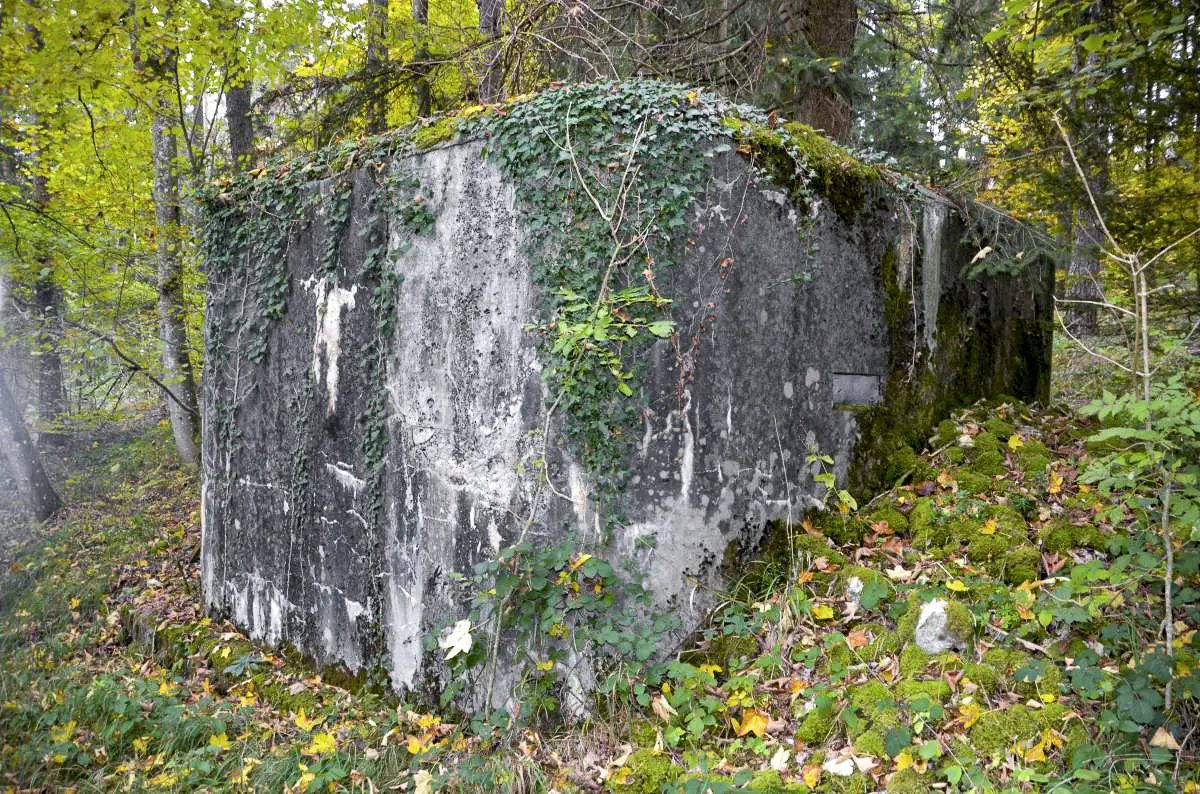 Ligne Maginot - C10 - (Blockhaus pour arme infanterie) - Coté est
