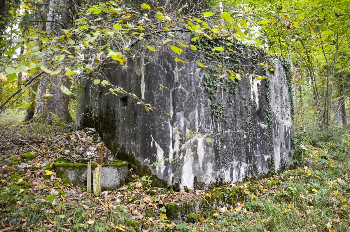 Ligne Maginot - C10 - (Blockhaus pour arme infanterie) - Coté ouest