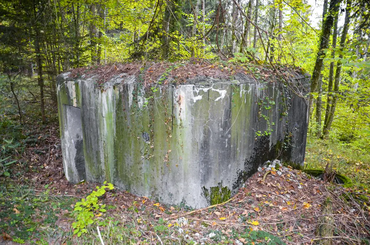 Ligne Maginot - C10 - (Blockhaus pour arme infanterie) - Vue sur l'entrée