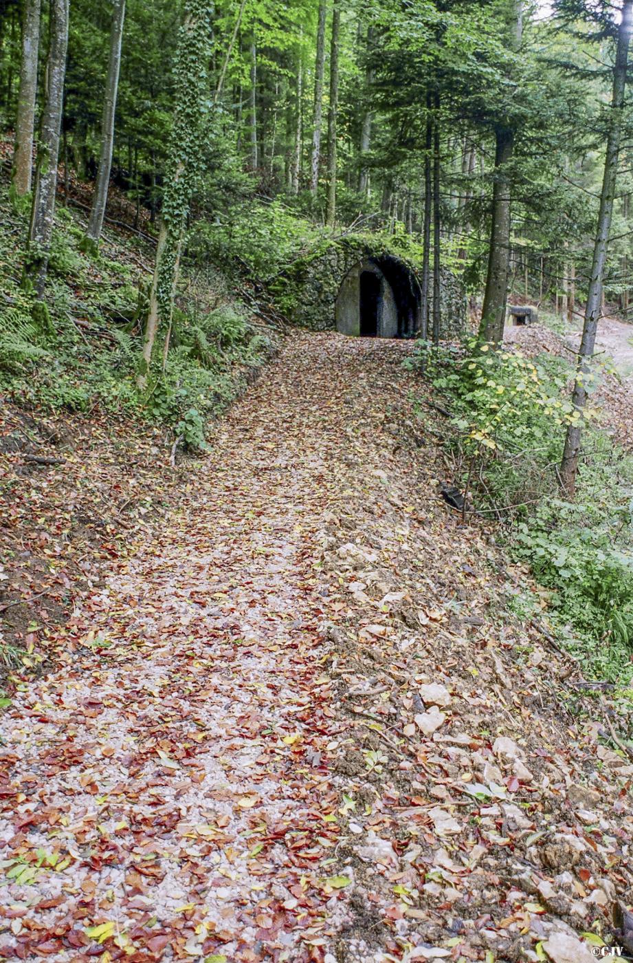 Ligne Maginot - CHARRIERE 2 - (Abri) - 