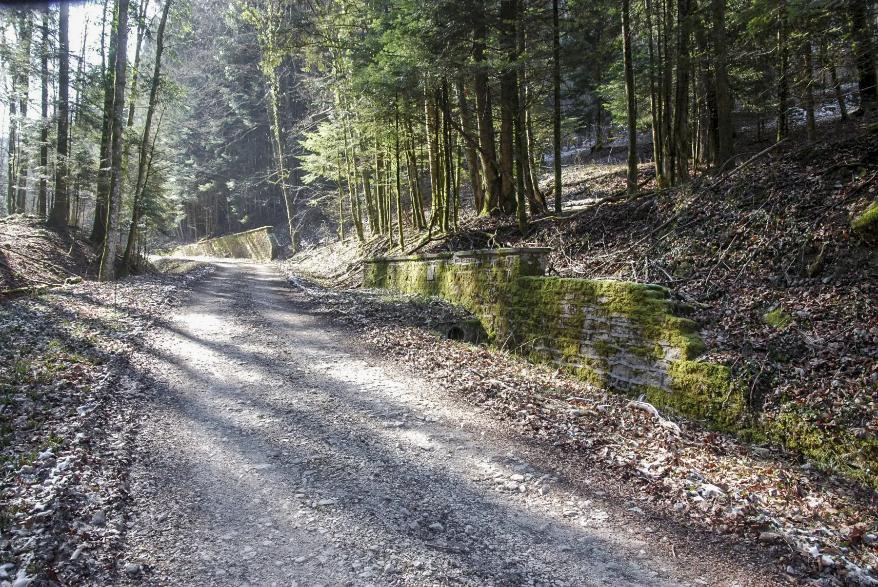 Ligne Maginot - GLASERBERG (ROUTE STRATéGIQUE) - (Infrastructure routière) - Mur de soutènement (C) cartouche du III/60 RI