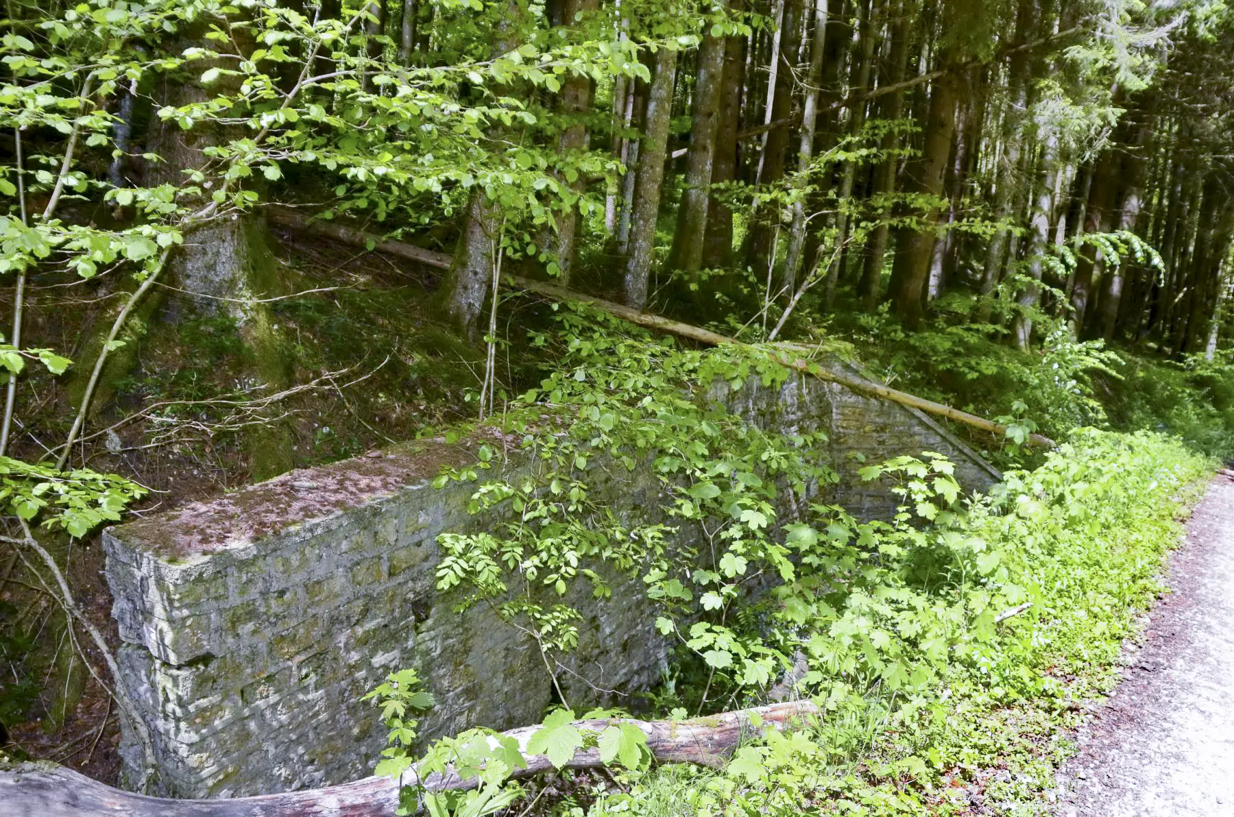 Ligne Maginot - GLASERBERG (ROUTE STRATéGIQUE) - (Infrastructure routiére) - Mur de soutènement (E)