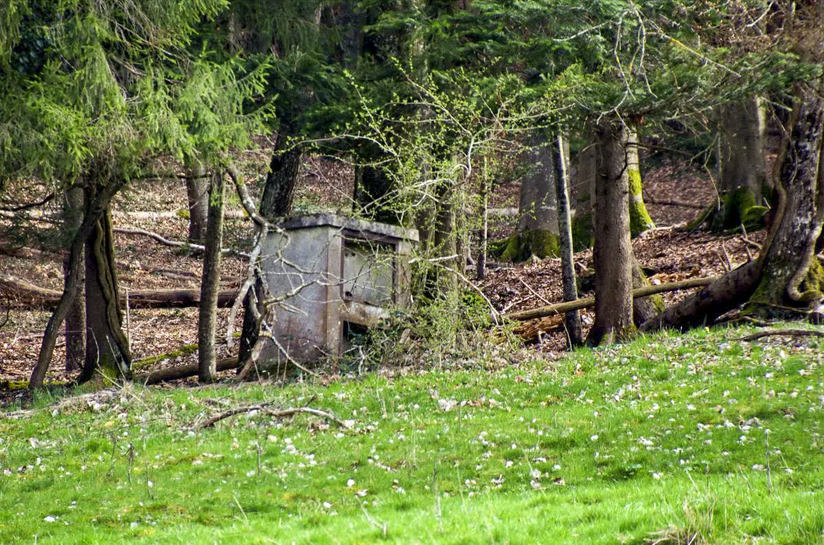 Ligne Maginot - GLASERBERG 4 - (Chambre de coupure) - 