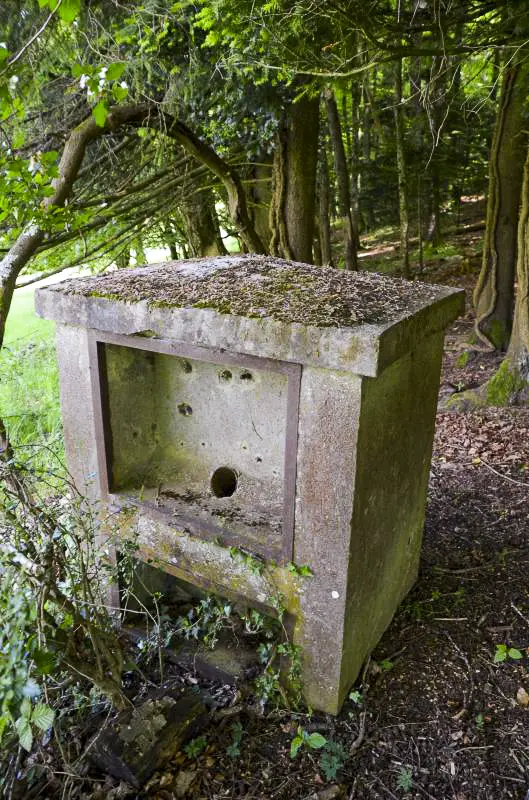 Ligne Maginot - GLASERBERG 4 - (Chambre de coupure) - 