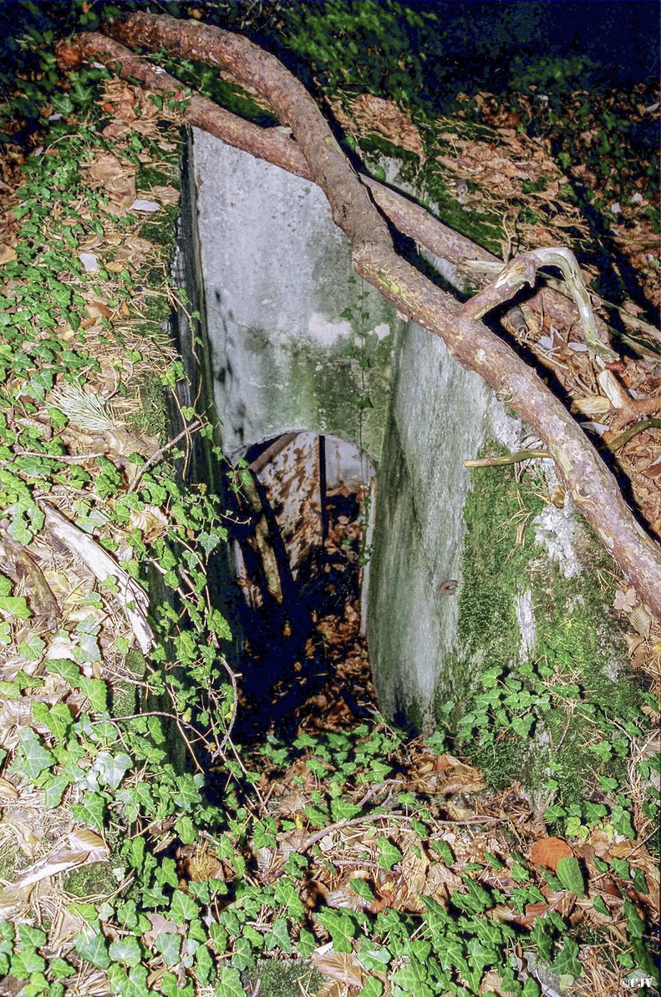 Ligne Maginot - HIPPOLTSKIRCH 2 - (Cuve pour canon) - 