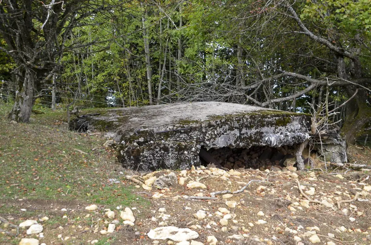 Ligne Maginot - HORNIHOF - (Observatoire d'artillerie) - 