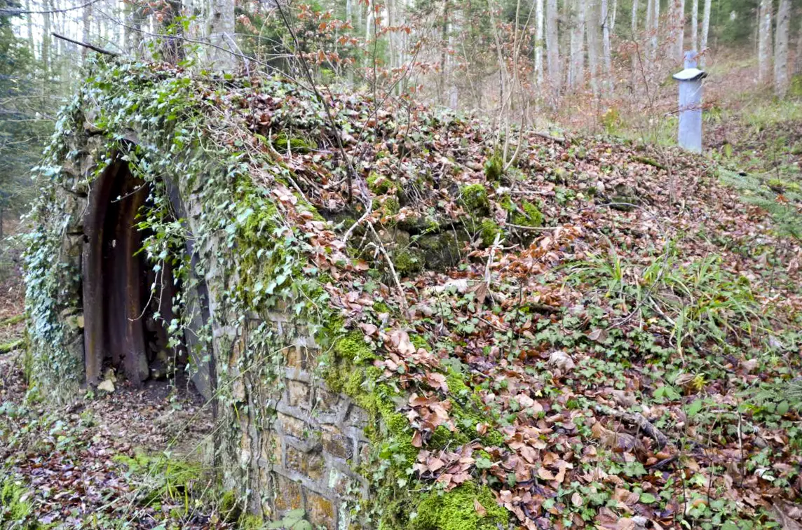 Ligne Maginot - NEUNEICH 5 - (Abri) - Vue coté droit
On remarque bien le camouflage que provoque la végétation