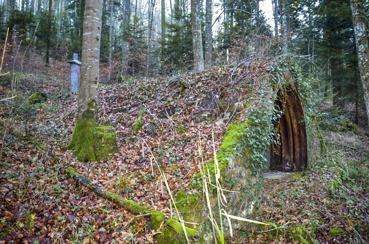 Ligne Maginot - NEUNEICH 5 - (Abri) - Vue coté gauche
On remarque bien le camouflage que provoque la végétation