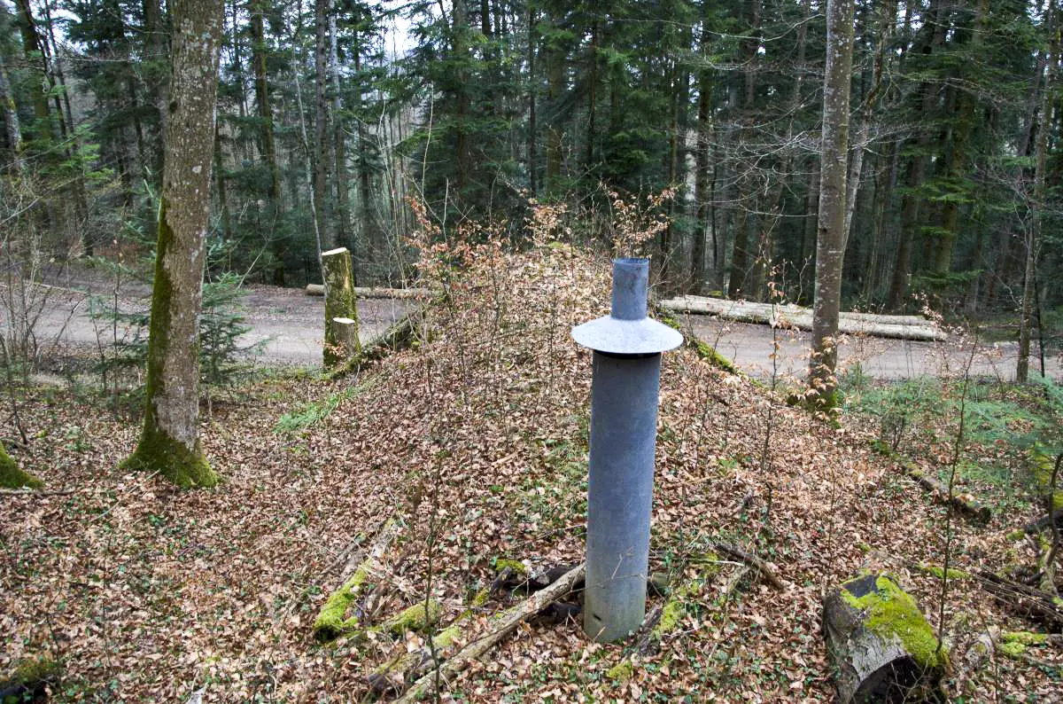 Ligne Maginot - NEUNEICH 5 - (Abri) - Vue du dessus
On remarque bien le camouflage que provoque la végétation