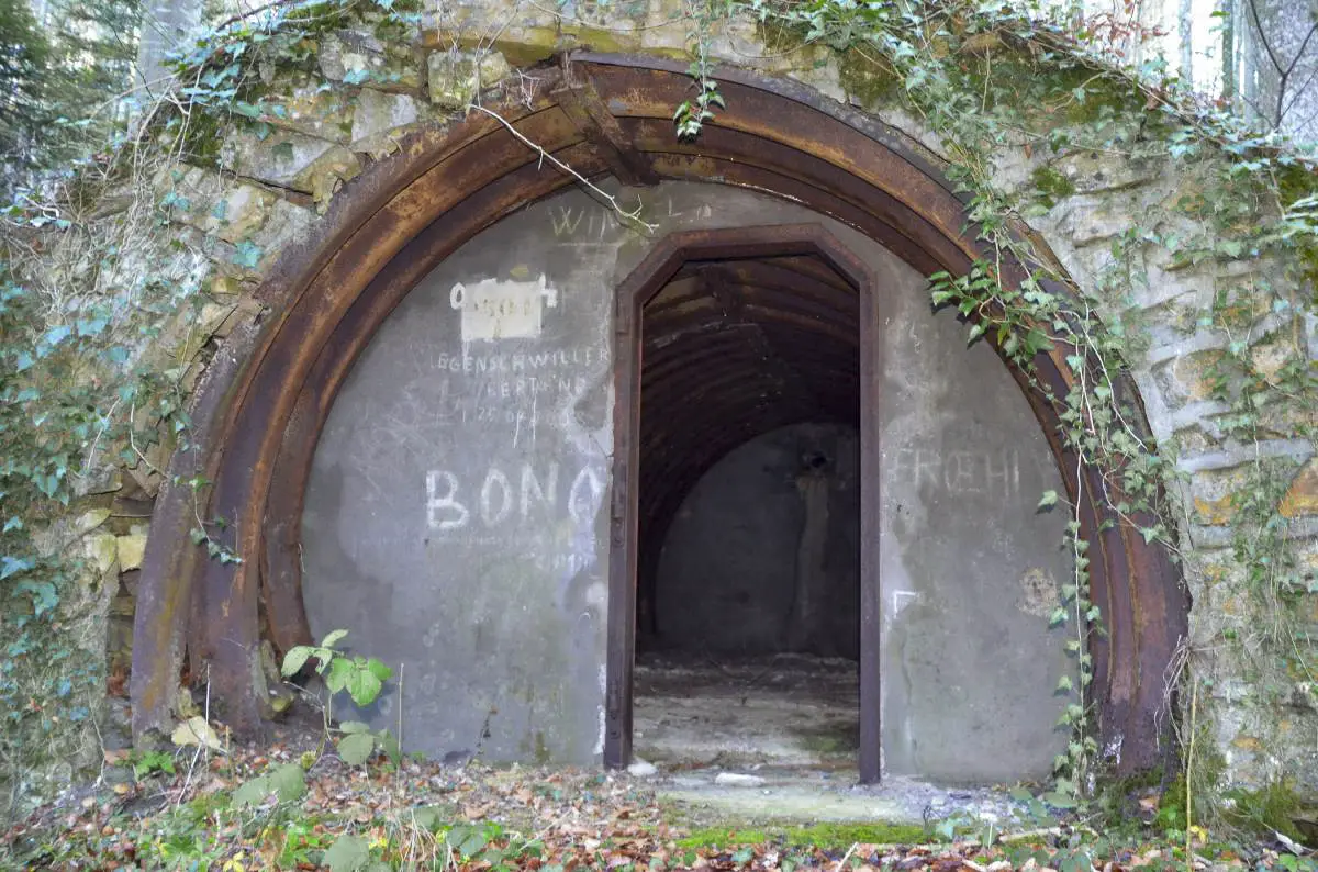 Ligne Maginot - NEUNEICH 5 - (Abri) - Vue de la façade