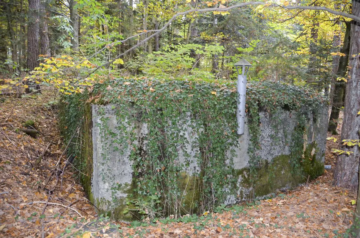 Ligne Maginot - NEUNEICH 7 - (Abri) - Façade est