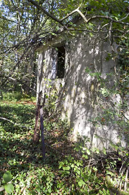 Ligne Maginot - OLTINGUE HAUT - (Observatoire d'artillerie) - Vue coté fenêtre (ouest) avec reste de barbelés