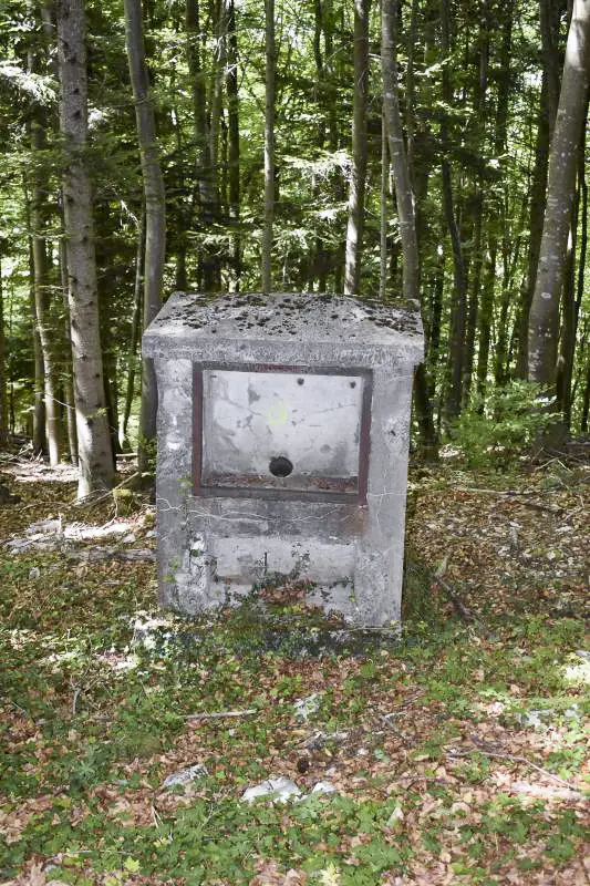 Ligne Maginot - STIERHAINY OUEST - (Chambre de coupure) - 