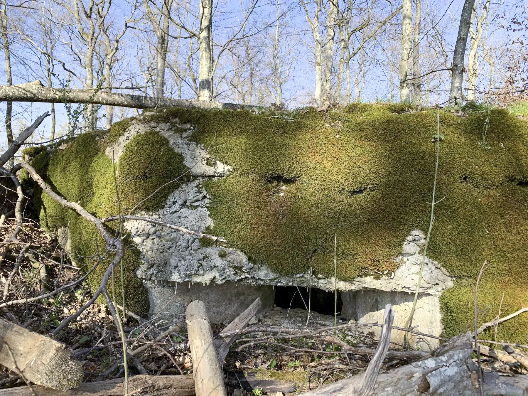 Ligne Maginot - WERENTZHOUSE 1 - (Blockhaus pour arme infanterie) - 